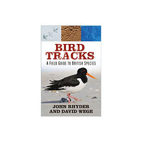 The History Press Ltd Bird Tracks (häftad)