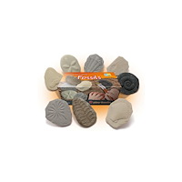 Yellow Door Undersök Fossilier av sten 8/fp