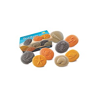 Yellow Door Undersök Havet av sten 8/fp