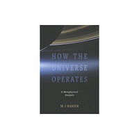 Austin Macauley Publishers How the Universe Operates (häftad, eng)