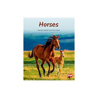 SCHOLASTIC LTD HORSES (häftad, eng)