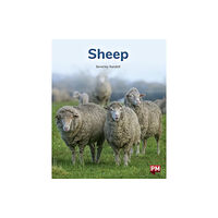 SCHOLASTIC LTD SHEEP (häftad, eng)
