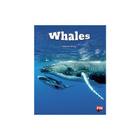 SCHOLASTIC LTD WHALES (häftad, eng)