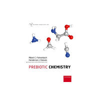 Oxford University Press Prebiotic Chemistry (häftad, eng)
