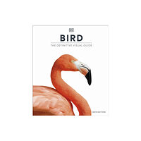 Dorling Kindersley Ltd Bird (inbunden, eng)