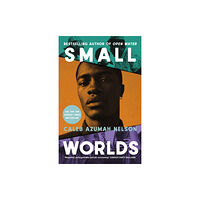 Penguin books ltd Small Worlds (inbunden, eng)