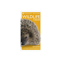 Dorling Kindersley Ltd Pocket Nature Wildlife of Britain and Ireland (häftad, eng)