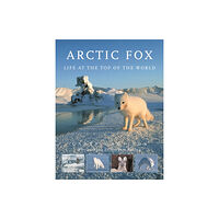 Firefly Books Ltd Arctic Fox (häftad, eng)