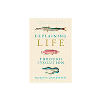 Mit press ltd Explaining Life through Evolution (häftad, eng)