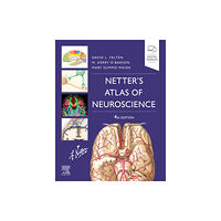 Elsevier - Health Sciences Division Netter's Atlas of Neuroscience (häftad, eng)