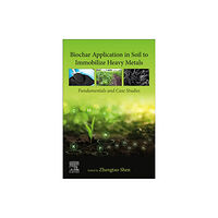 Elsevier - Health Sciences Division Biochar Application in Soil to Immobilize Heavy Metals (häftad, eng)