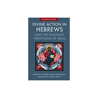 Zondervan Divine Action in Hebrews (häftad, eng)