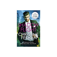 Little, Brown Book Group Shadow Flight (häftad, eng)