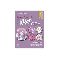 Elsevier Health Sciences Stevens & Lowe's Human Histology (häftad, eng)