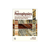 Elsevier - Health Sciences Division Petrophysics (inbunden, eng)