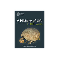 The Natural History Museum A History of Life in 100 Fossils (häftad, eng)