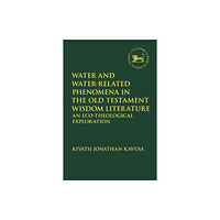 Bloomsbury Publishing PLC Water and Water-Related Phenomena in the Old Testament Wisdom Literature (häftad, eng)