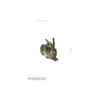 Phaidon Press Ltd Durer (häftad, eng)