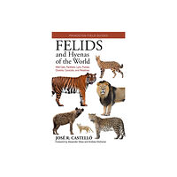 Princeton University Press Felids and Hyenas of the World (häftad, eng)