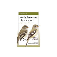 Princeton University Press Field Guide to North American Flycatchers (häftad, eng)