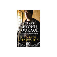 Little, Brown Book Group A Place Beyond Courage (häftad, eng)
