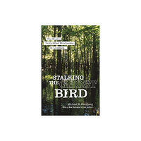 Louisiana State University Press Stalking the Ghost Bird (häftad, eng)