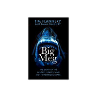 Transworld publishers ltd Big Meg (inbunden, eng)