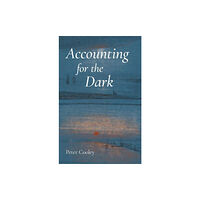 Carnegie-Mellon University Press Accounting for the Dark (häftad, eng)