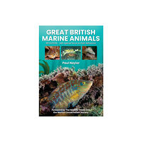 Sound Diving Publications Great British Marine Animals (häftad, eng)