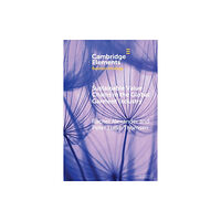 Cambridge University Press Sustainable Value Chains in the Global Garment Industry (häftad, eng)