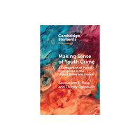 Cambridge University Press Making Sense of Youth Crime (häftad, eng)