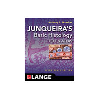 McGraw-Hill Education Junqueira's Basic Histology: Text and Atlas, Seventeenth Edition (häftad, eng)