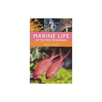 Bloomsbury Publishing PLC Marine Life of the Mediterranean (häftad, eng)