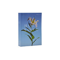 Thomas nelson publishers NRSV Catholic Edition Bible, Easter Lily Paperback (Global Cover Series) (häftad, eng)