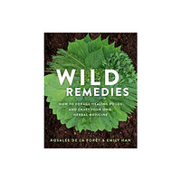 Hay House Inc Wild Remedies (häftad, eng)