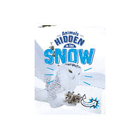 Capstone Global Library Ltd Animals Hidden in the Snow (häftad, eng)