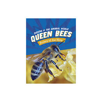 Capstone Global Library Ltd Queen Bees (häftad, eng)