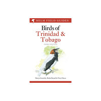 Bloomsbury Publishing PLC Field Guide to the Birds of Trinidad and Tobago (häftad, eng)