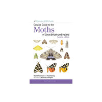 Bloomsbury Publishing PLC Concise Guide to the Moths of Great Britain and Ireland: Second edition (häftad, eng)