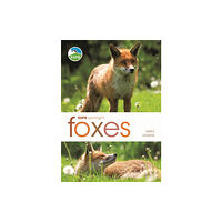 Bloomsbury Publishing PLC RSPB Spotlight: Foxes (häftad, eng)