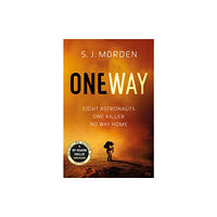 Orion Publishing Co One Way (häftad, eng)