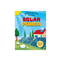 Hachette Children's Group Alternative Energy: Solar Power (häftad, eng)