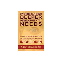 SteinerBooks, Inc Understanding Deeper Developmental Needs (häftad, eng)