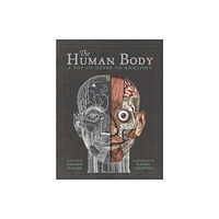 Templar Publishing The Human Body (inbunden, eng)