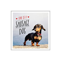 Octopus publishing group Love is a Sausage Dog (inbunden, eng)