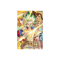 Viz Media, Subs. of Shogakukan Inc Dr. STONE, Vol. 14 (häftad, eng)