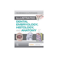 Elsevier - Health Sciences Division Illustrated Dental Embryology, Histology, and Anatomy (häftad, eng)