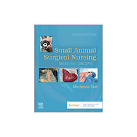 Elsevier - Health Sciences Division Small Animal Surgical Nursing (häftad, eng)