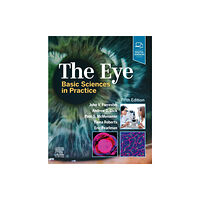 Elsevier Health Sciences The Eye (inbunden, eng)