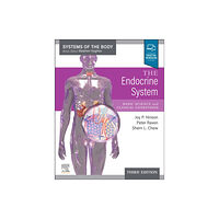 Elsevier Health Sciences The Endocrine System (häftad, eng)